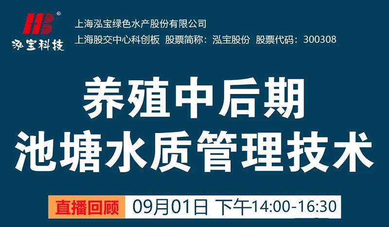 水產養殖中后期水質問題為什么那么多